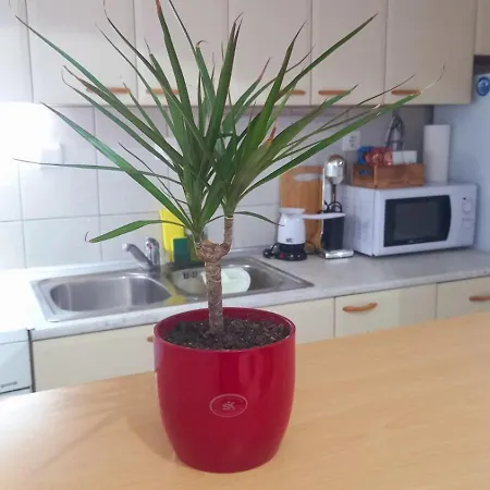 Lägenhet Lina's -modern & Cozy Skopje