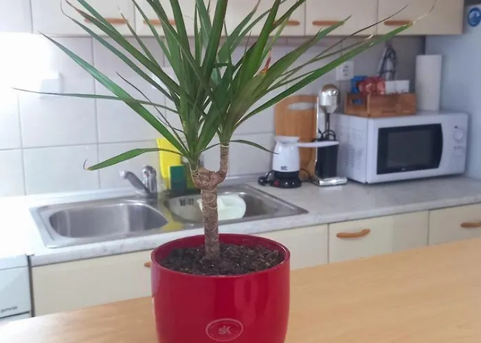 Apartment Lina's -modern & Cozy Skopje