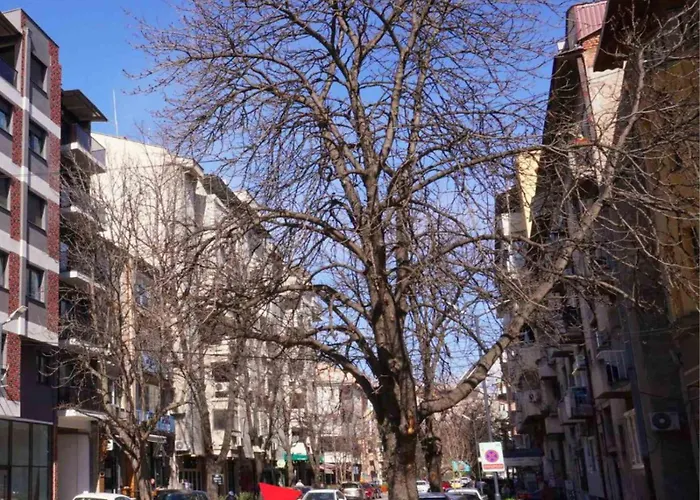 Apartment Lina's -modern & Cozy